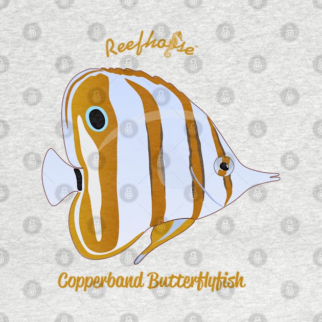 Copperband Butterflyfish by Reefhorse